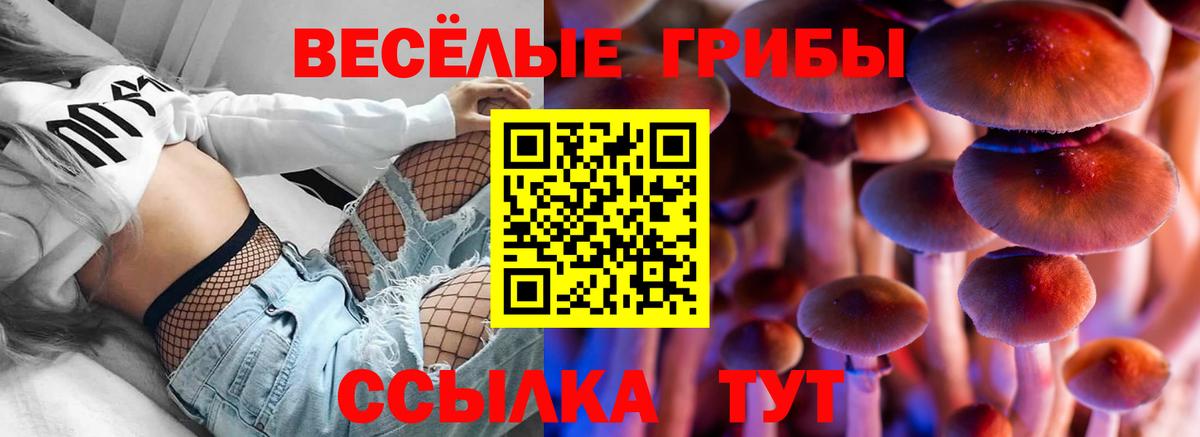 где продают   Псилоцибиновые грибы Psilocybe  Вход с VPN  Анапа 